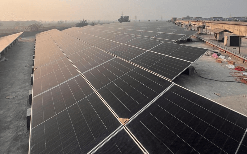 Flat and Elevated Roof